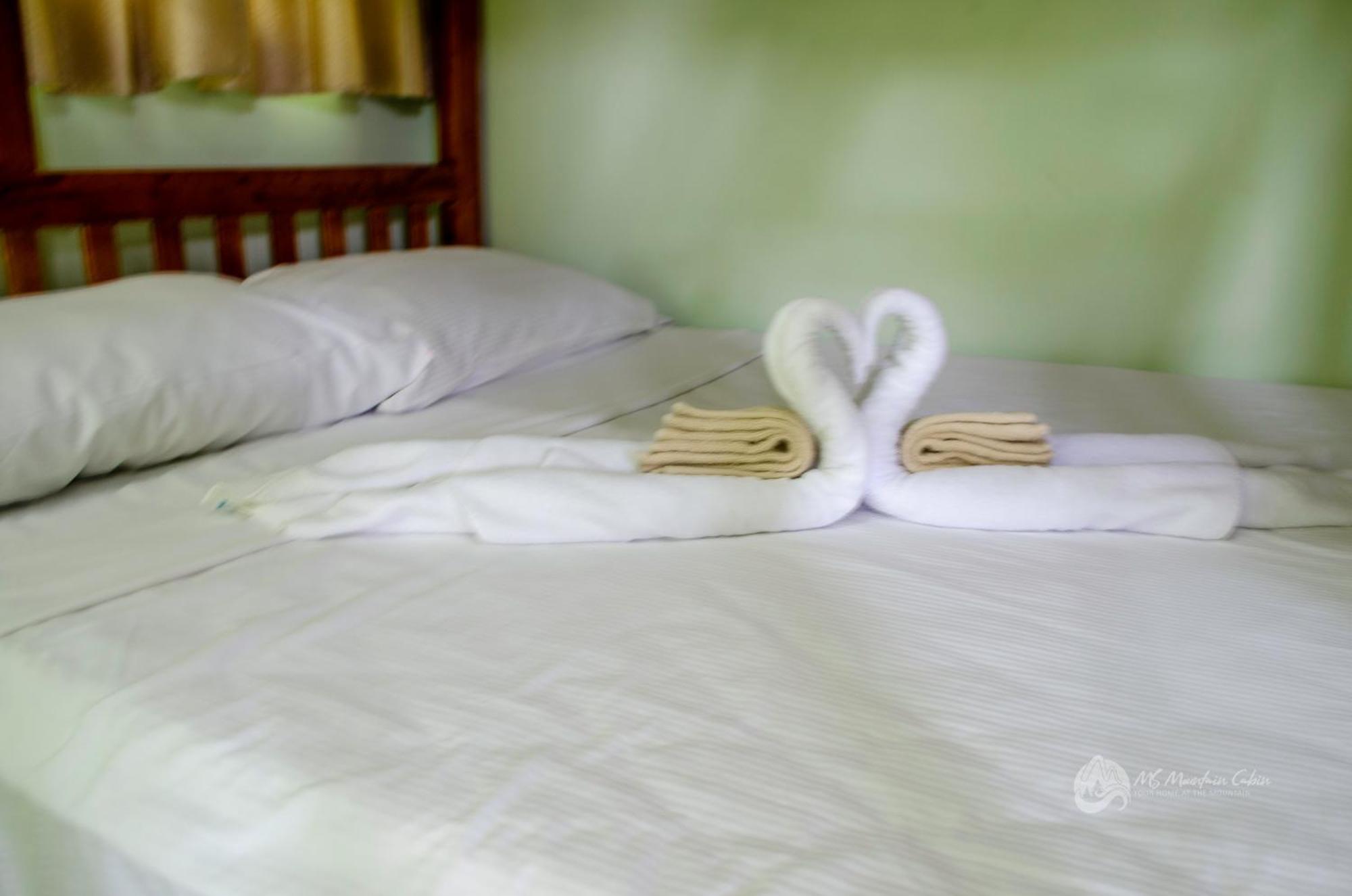 Ms Mountain Cabin Loboc Εξωτερικό φωτογραφία